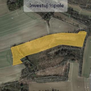 Prodej louky 24 367 m² Polepy Hrušovany