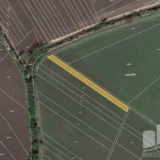 Prodej zemědělské půdy 1817 m² Kostice