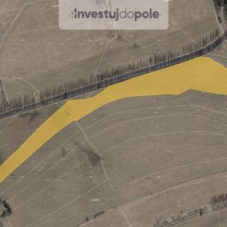 Prodej zemědělské půdy 42472 m² Toužim