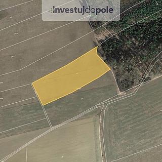 Prodej zemědělské půdy 6 811 m² Hřebečníky Novosedly