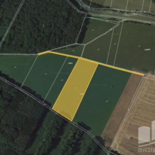 Prodej zemědělské půdy 5 465 m² Dětenice Brodek