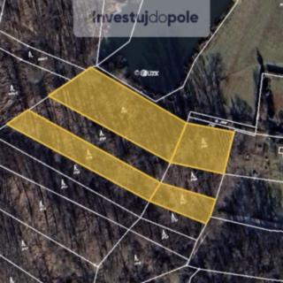 Prodej lesa 7 181 m² Mělník