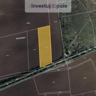 Prodej zemědělské půdy 3083 m² Nučice