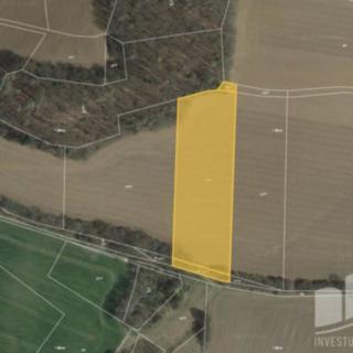 Prodej zemědělské půdy 8 633 m² Jankov Čestín