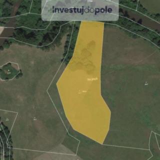 Prodej louky 7720 m² Třebechovice pod Orebem