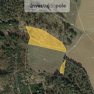 Prodej lesa 5 649 m² Čepřovice