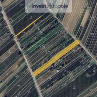 Prodej zemědělské půdy 1 330 m² Dolní Bojanovice