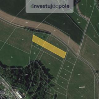 Prodej zemědělské půdy 2 934 m² Lomnice nad Popelkou