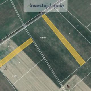 Prodej zemědělské půdy 10674 m² Ludíkov