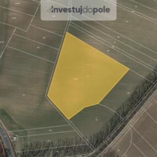 Prodej zemědělské půdy 16 737 m² Lovčice