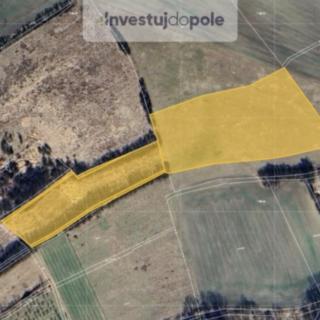 Prodej zemědělské půdy 19630 m² Křešice
