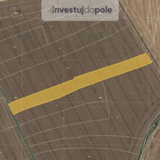 Prodej zemědělské půdy 8988 m² Kosořice