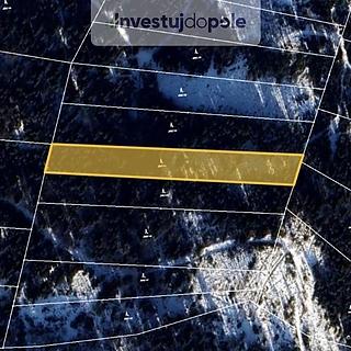 Prodej lesa 7 284 m² Bukovec