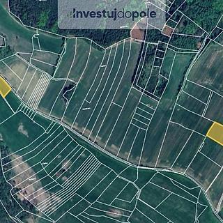Prodej zemědělské půdy 7 300 m² Zavlekov Skránčice
