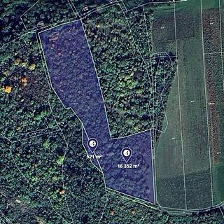 Prodej louky 7 030 m² Máslovice