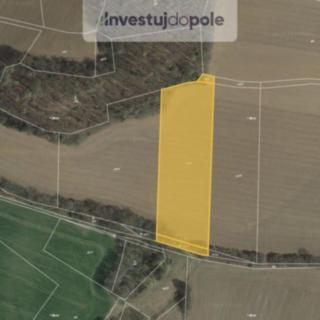 Prodej zemědělské půdy 8 633 m² Jankov Čestín