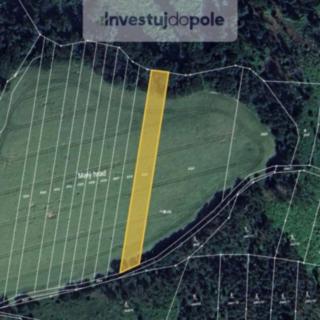Prodej podílu zemědělské půdy 4659 m² Doubravice nad Svitavou