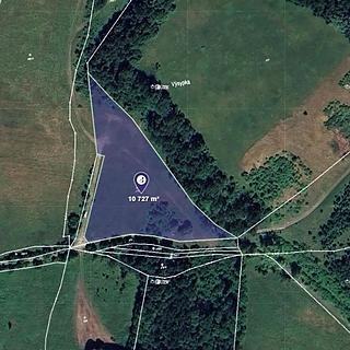 Prodej ostatního pozemku 10 727 m² Velké Chvojno