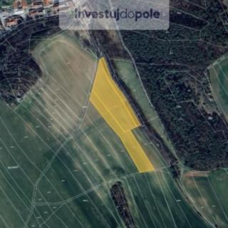 Prodej zemědělské půdy 10435 m² Letovice