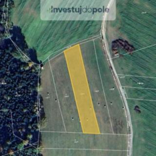 Prodej zemědělské půdy 976 m² Střížov