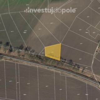 Prodej zemědělské půdy 1 942 m² Kojetín I-Město