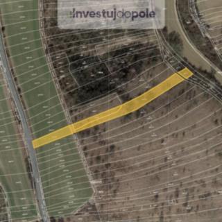 Prodej louky 2 540 m² Ždánice