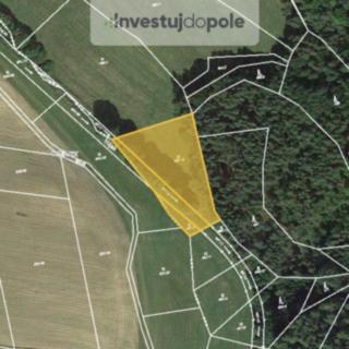 Prodej louky 2934 m² Chanovice