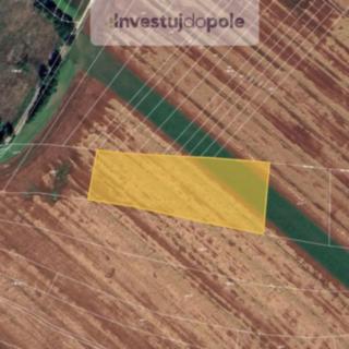Prodej zemědělské půdy 2 286 m² Ruprechtov