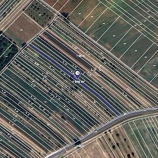 Prodej zemědělské půdy 1 846 m² Šardice