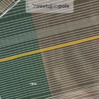 Prodej ostatního pozemku 11 743 m² Čejkovice