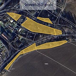 Prodej zahrady 4 113 m² Planá Kříženec