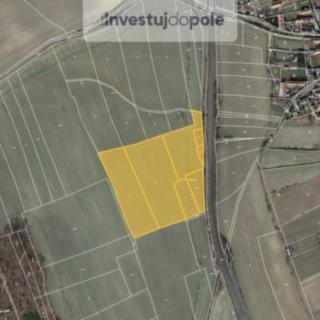 Prodej zemědělské půdy 30 569 m² Štětí Stračí