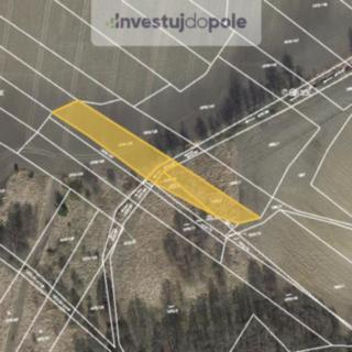 Prodej zemědělské půdy 11296 m² Sýkořice