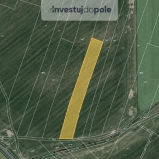Prodej zemědělské půdy 1 728 m² Němčice
