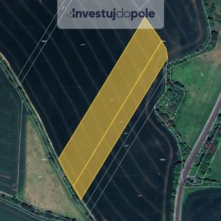 Prodej zemědělské půdy 18 315 m² Žalany