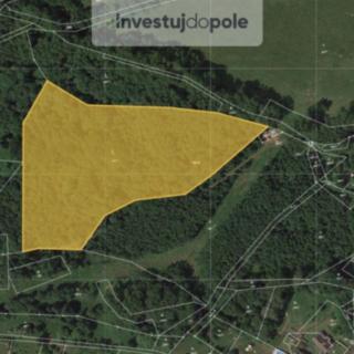 Prodej lesa 10 230 m² Valkeřice
