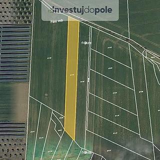 Prodej zemědělské půdy 2012 m² Lešany