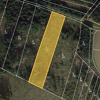 Prodej lesa 3101 m² Budkov