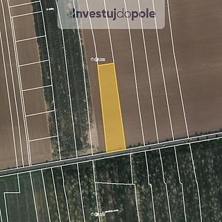 Prodej zemědělské půdy 4 934 m² Jeneč