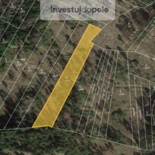 Prodej lesa 3 635 m² Zálezly
