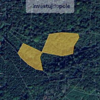 Prodej lesa 11 175 m² Vsetín