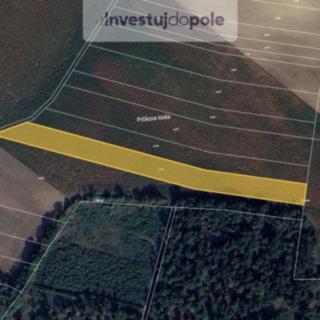 Prodej zemědělské půdy 3 793 m² Mutěnice