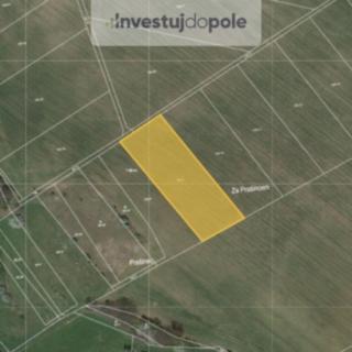 Prodej zemědělské půdy 4 097 m² Osiky