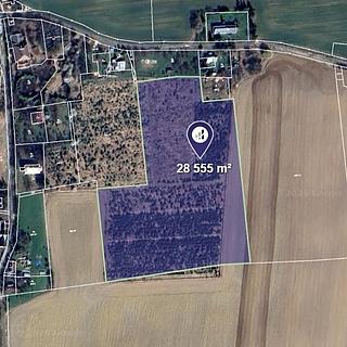 Prodej zemědělské půdy 28 555 m² Mikulovice