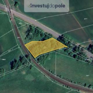 Prodej louky 2 168 m² Vítkov