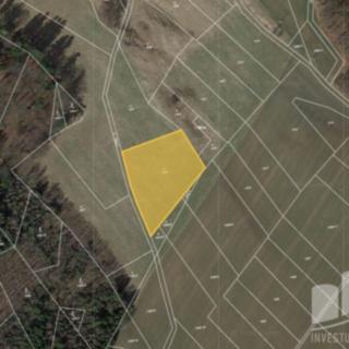 Prodej louky 3028 m² Pustá Kamenice