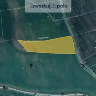 Prodej louky 4 524 m² Písečné