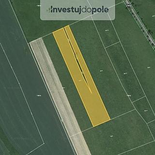 Prodej zemědělské půdy 8 023 m² Police nad Metují Velká Ledhuje