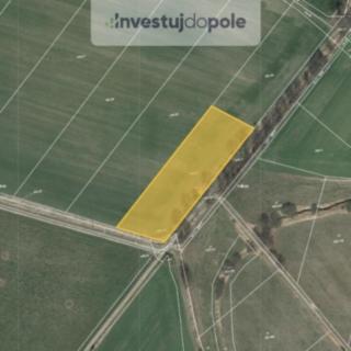 Prodej zemědělské půdy 8 048 m² Val