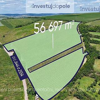 Prodej zemědělské půdy 56697 m² Šardice